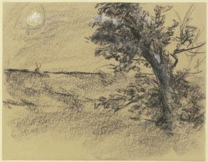 Alder at the edge of a meadow
