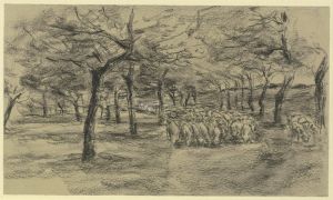 Flock of sheep on an avenue