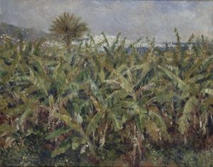 Field of Banana Trees