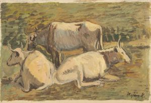 Cows