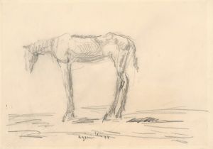 Emaciated Horse