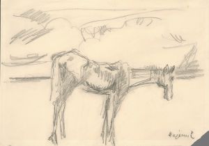Lonely Horse