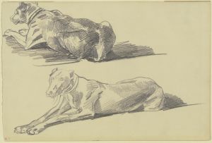 Studienblatt; Die Dogge Cäsar, liegend nach links