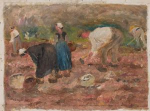 Digging potatoes