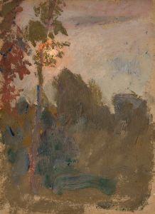 Sunset in a forest
