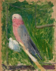Parrot