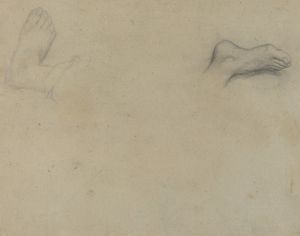 Studies of Feet