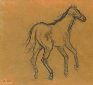 Étude De Cheval