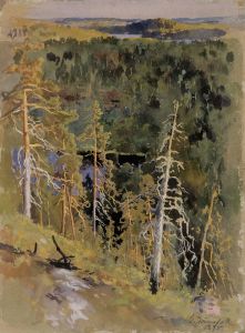 Forest Landscape
