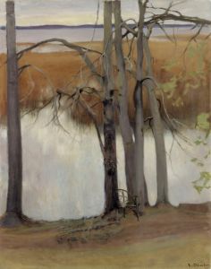 Lake Shore with Reeds