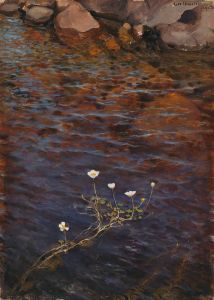 Pond Water Crowfoot