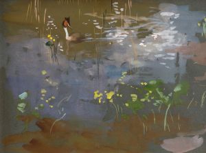Great Crested Grebe