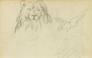 Head on view of seated lion