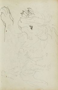 Lion studies