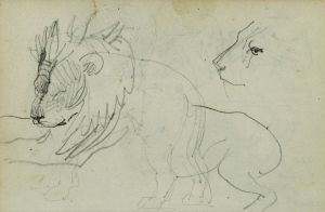 Lion studies