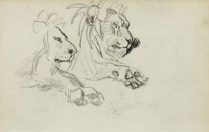 Two lion studies