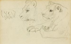 Studies of the head and forelegs of a lioness