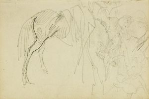 Compositional study, horse studies