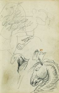 Horse studies