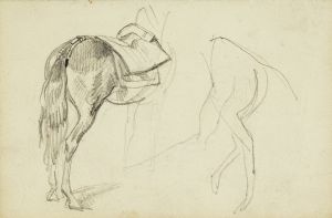 Horse Studies