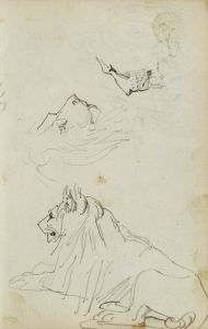 Seated lion, two lion head studies