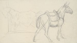 Sketch of a Horse
