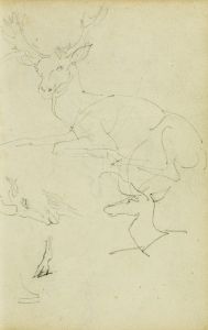 Studies of a seated stag, a fawn, a goat head