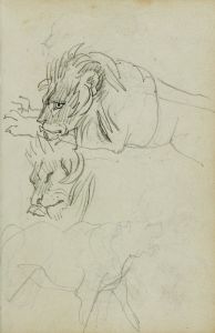 Three lion studies