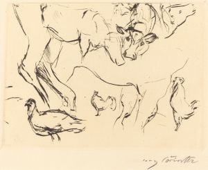 Animal Studies