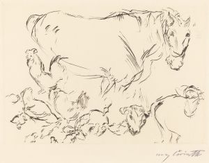 Animal Studies