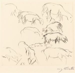 Animal Studies