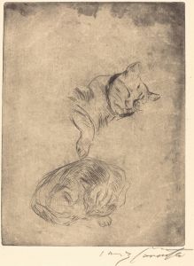 Cats