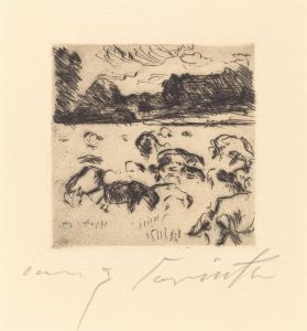 Grazing Sheep
