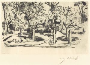 Orchard