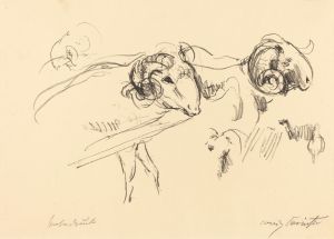 Rams