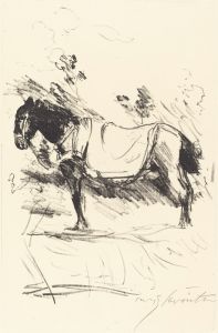 Riding-Horse