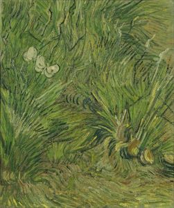 Garden with butterflies