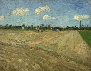 Ploughed fields