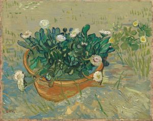 Daisies, Arles