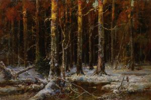 Forest In Winter