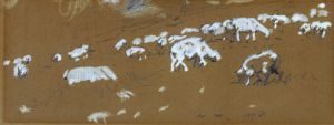 Sheep