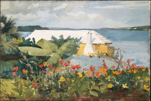 Flower Garden and Bungalow, Bermuda