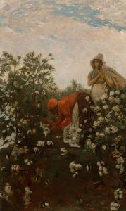 Upland Cotton