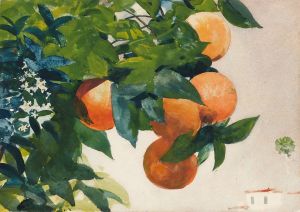 Oranges on a Branch