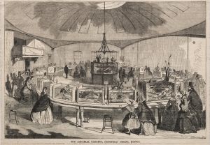 The Aquarial Gardens, Bromfield Street, Boston