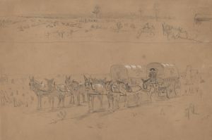 Supply Train