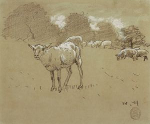 Sheep Grazing in a Field