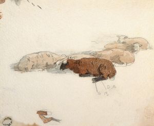 Sheep Resting