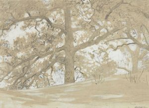 Waverly Oaks