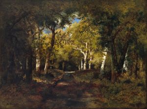 In the Forest